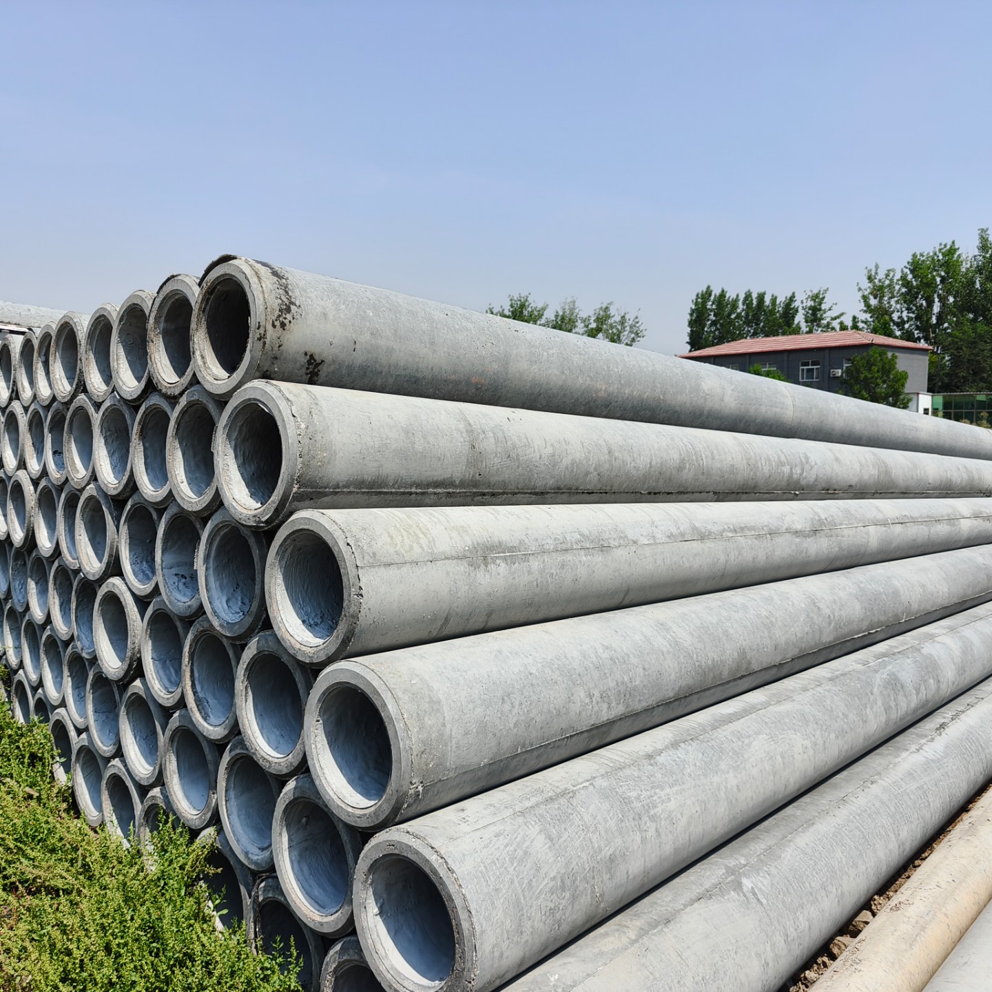 明光10米钢筋混凝土电杆